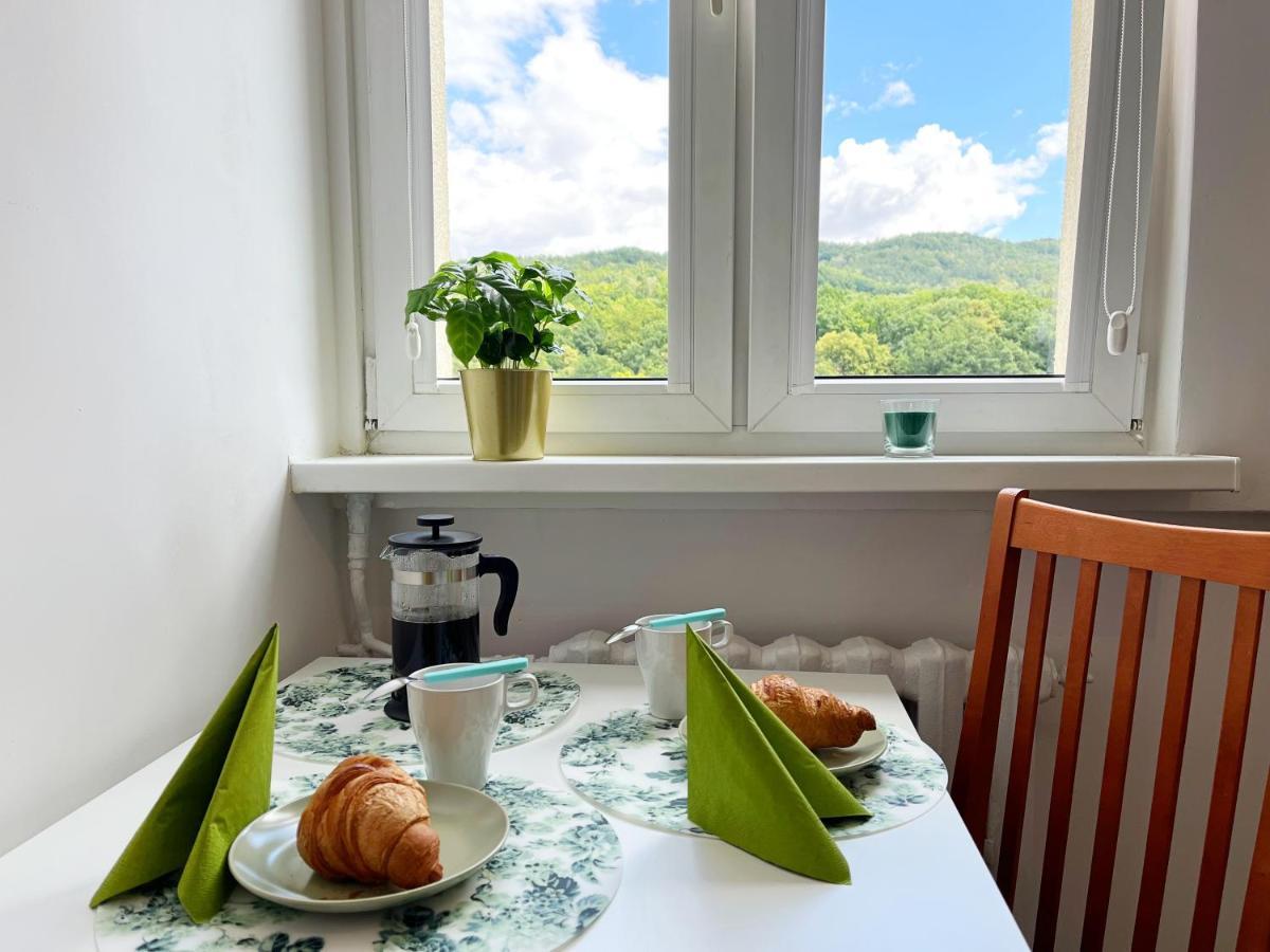 Apartament Parkowy Walbrzych Bagian luar foto